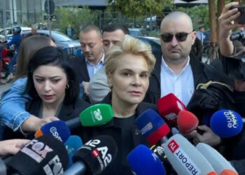 Kryemadhi: Adrian Shatkun e kam prezantuar me kryeministrin Edi Rama