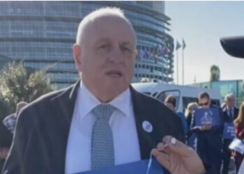 Tritan Shehu nga Strasburgu: Duam të sensibilizojmë PE, kemi nevojë për miqtë ndërkombëtar