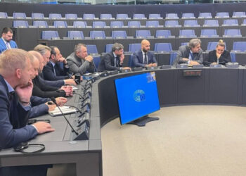 Eurodeputetët: Shqipëria të sigurojë zgjedhje të lira dhe të luftojë korrupsionin