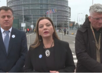 30 deputetët e PD-së kthehen nga Strasburgu: Morëm mbështetje për kërkesat tona