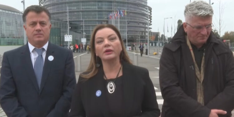 30 deputetët e PD-së kthehen nga Strasburgu: Morëm mbështetje për kërkesat tona