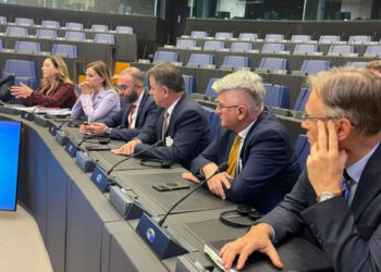 Deputeti i PD “guxon” me modelin e flokëve, shfaqet “trendy” në Parlamentin Europian