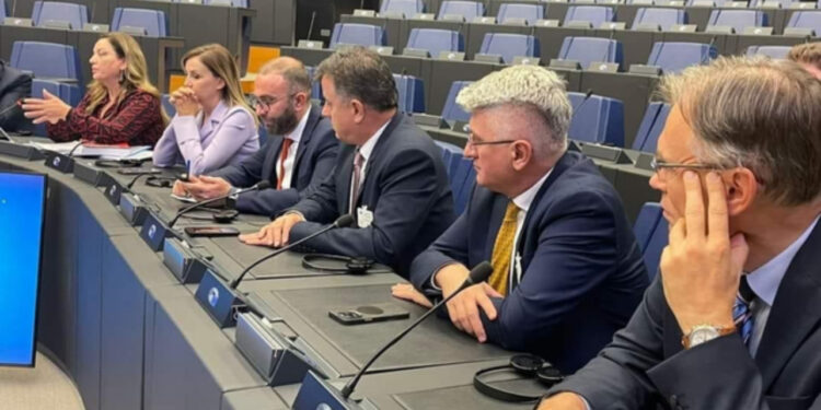 Deputeti i PD “guxon” me modelin e flokëve, shfaqet “trendy” në Parlamentin Europian