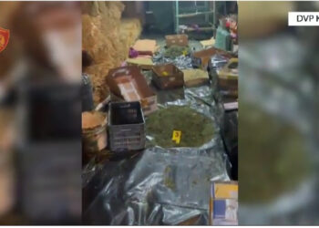 VIDEO/ Po e thanin, zbulohet një magazinë kanabisi në Korçë 