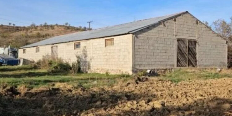 EMRI/ Identifikohet organizatori i punishtes së kanabisit në Korçë