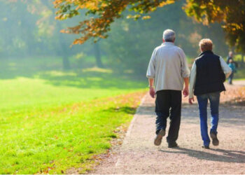 Skema e pensioneve ka falimentuar tërësisht, por a është informaliteti shkaku ?