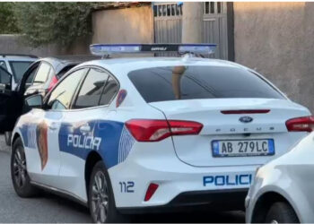 EMRI/ Makina përplas për vdekje këmbësorin