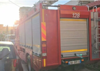 Zjarri shkatërron stallën në Shkodër, digjen 22 derra dhe një automjet