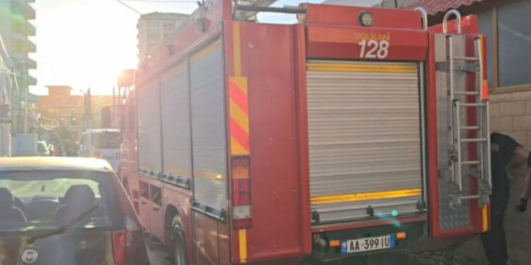 Zjarri shkatërron stallën në Shkodër, digjen 22 derra dhe një automjet