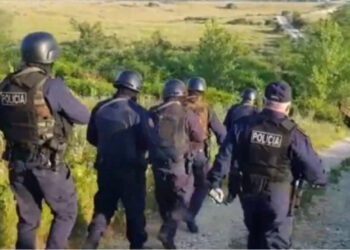 Operacioni anti-drogë në Korçë/ Arrestohen 6 persona