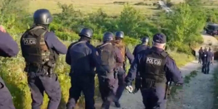 Operacioni anti-drogë në Korçë/ Arrestohen 6 persona