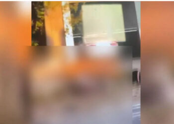 VIDEO/ Dalin pamjet e rënda nga masakra në Shkodër, trupat e pajetë të shtrirë në rrugë