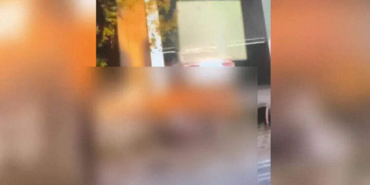 VIDEO/ Dalin pamjet e rënda nga masakra në Shkodër, trupat e pajetë të shtrirë në rrugë