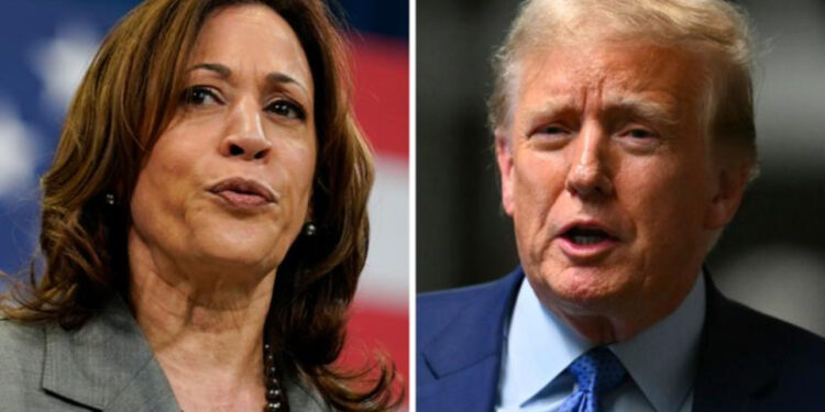 Sondazhet: Harris dhe Trump ‘kokë më kokë’ në Georgia dhe Karolinën e Veriut