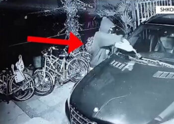 U arrestuan/ Shihni si dy vëllezërit në Shkodër u vënë zjarrin makinave, me “porosi” të…