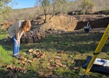 VIDEO/ Vila antike ku prodhohej vaj ulliri, zbulohet në një plantacion me ullinj në Shijak