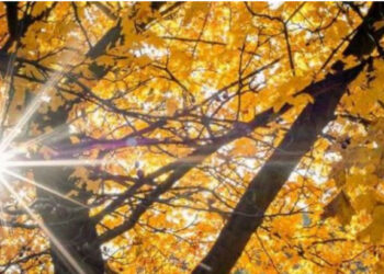 Asnjë pikë shiu, ja si pritet të jetë moti javën e ardhshme