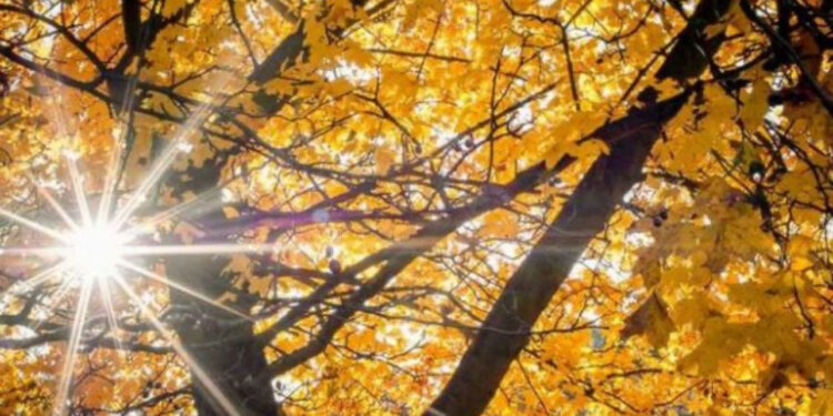 Asnjë pikë shiu, ja si pritet të jetë moti javën e ardhshme