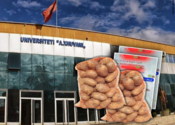 “Të kam sjell një thes patate”, zbardhen përgjimet e Elbasanit, studentët i “korruptonin” pedagogët me produkte fshati!