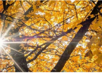 Temperaturat deri në 24 gradë, ja si do të jetë moti sot