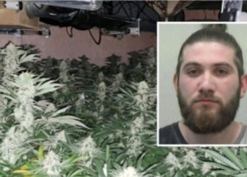 EMRI/ U kap në “shtëpi bari” në Londër, ARRESTOHET 23 vjeçari shqiptar!