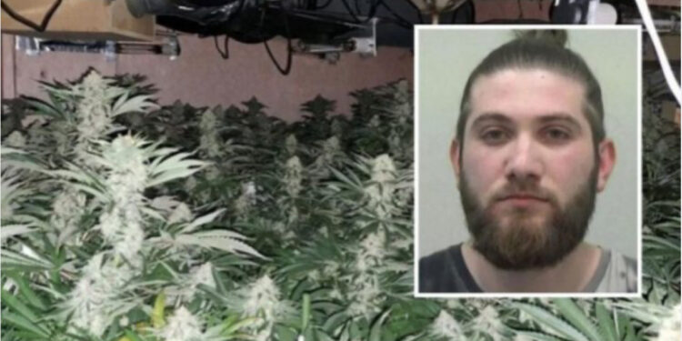 EMRI/ U kap në “shtëpi bari” në Londër, ARRESTOHET 23 vjeçari shqiptar!