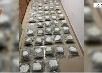 Trafikoi 26.7 kg kanabis nga Dubai në Tiranë, arrestohet 21-vjeçari në Rinas, lënda narkotike ishte fshehur në bagazhet e tij