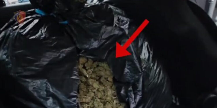 Operacion antidrogë në Tepelenë, arrestohen 4 persona