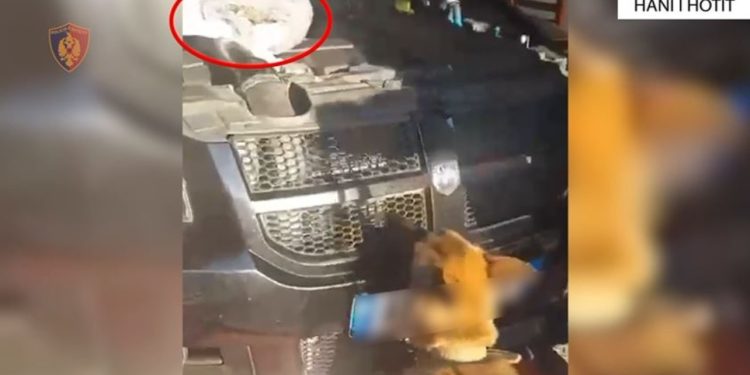 Tentoi të largohej nga Shqipëria me drogë, arrestohet 38-vjeçari nga Mali i Zi