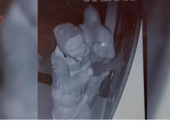 Lezhë/ Grabitën dy dyqane dhe nje servis, arrestohen 2 persona