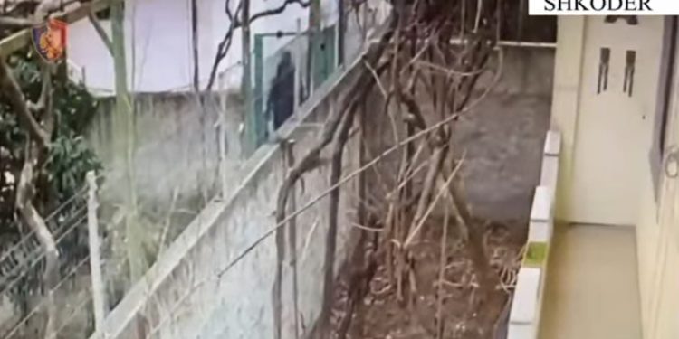 Hajdutët që grabitën mbi 100 mijë euro në Shkodër, zbardhen emrat e dyshuarve