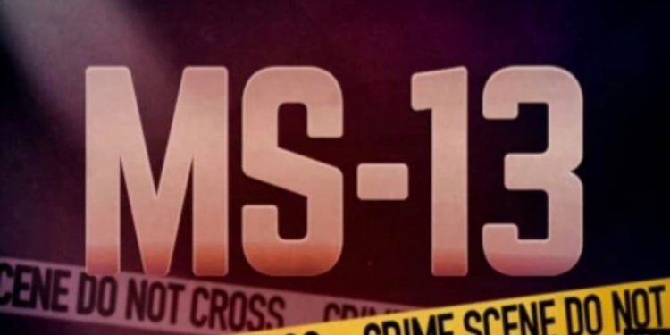 Uashingtoni përcakton si organizata terroriste 8 kartele të drogës në Amerikën Latine