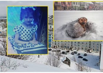 10-vjeçarja ruse mbijeton 18 orë në stuhinë e dëborës duke përqafuar një qen endacak