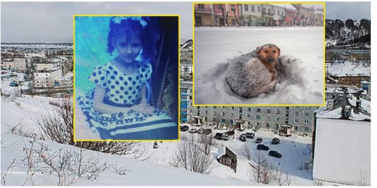 10-vjeçarja ruse mbijeton 18 orë në stuhinë e dëborës duke përqafuar një qen endacak