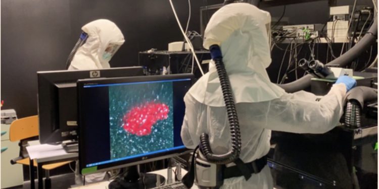 Vaksinat COVID-19 kanë shkaktuar probleme biologjike në trupin e njeriut, çfarë zbuluan shkencëtarët e Yale