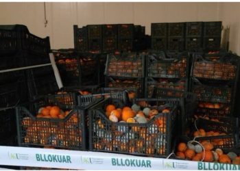 AKU deklaroi në dhjetor se ishin asgjësuar, si u nxorrën sërish në treg për shqiptarët 10 ton mandarina me pesticide