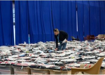 Numërimi i votave të diasporës/ Kryeson Lëvizja Vetëvendosje, pasohet nga Lidhja Demokratike e Kosovës