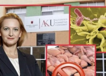 DOKUMENTET/ Shqiptarët po hanë mijëra kilogramë mish pule me salmonelë