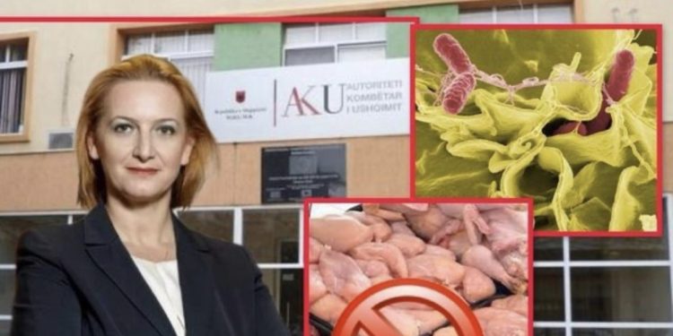 DOKUMENTET/ Shqiptarët po hanë mijëra kilogramë mish pule me salmonelë