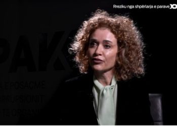 “Informacionin na e dha Gjermania! Viktimat bënin transfertë në llogaritë e kompanive guackë!” Prokurorja e SPAK: Ja si bashkëpunuan grupe kriminale nga Kosova dhe Shqipëria