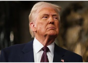 “Urrejtja” e JD Vance për Europën në bisedat e publikuara, Trump: Jam dakord me të, ata janë parazitë