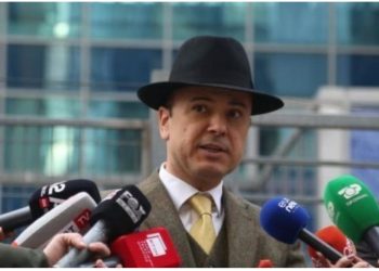 “Po turp e cipë nuk ke o Agron?” Malltezi drejtuar Shehajt: Pasi vodhe listat e anëtarëve të PD-së, vendose operatore call-center të telefonojë për të parë…