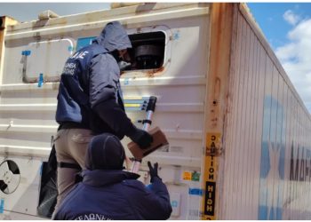 Operacion antidroge në Greqi/ Sekuestrohet kokainë me vlerë 6 milionë euro, 2 qentë antidrogë “zbuluan” skemën