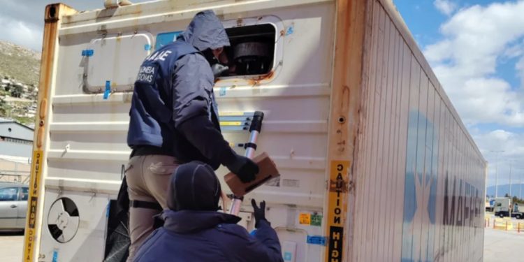 Operacion antidroge në Greqi/ Sekuestrohet kokainë me vlerë 6 milionë euro, 2 qentë antidrogë “zbuluan” skemën