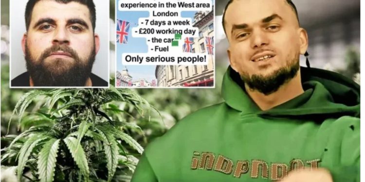 The Sun: Kriminelët shqiptarë në Britani po përdorin “Tik Tok” për të rekrutuar “shoferë” të shpërndarjes së drogës, reklamojnë rroga deri në 100 mijë paund