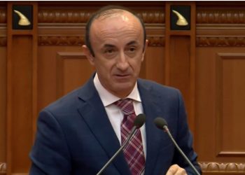 Primaret e PD në qarkun e Elbasanit/ Dashnor Sula më i votuari, Lefter Gështenja i shtati