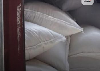 Kapen 10 ton kokainë në portin e Dunkirk në Francë