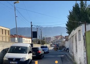 PAMJET/ Tritoli në punishten e sallamit në Fushë-Krujë, shoqërohen në polici disa persona, pronari: S’kam konflikte me njeri!