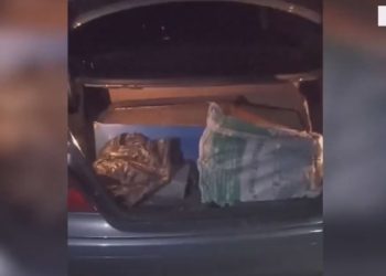 Trafikim armësh drejt Maqedonisë e falsifikim dokumentash, arrestohen 3 persona në Elbasan