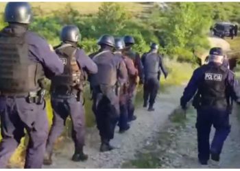 EMRAT/ Operacion antidrogë në Divjakë, goditet grupi kriminal, arrestohen 3 persona, shoqërohen 10 të tjerë 